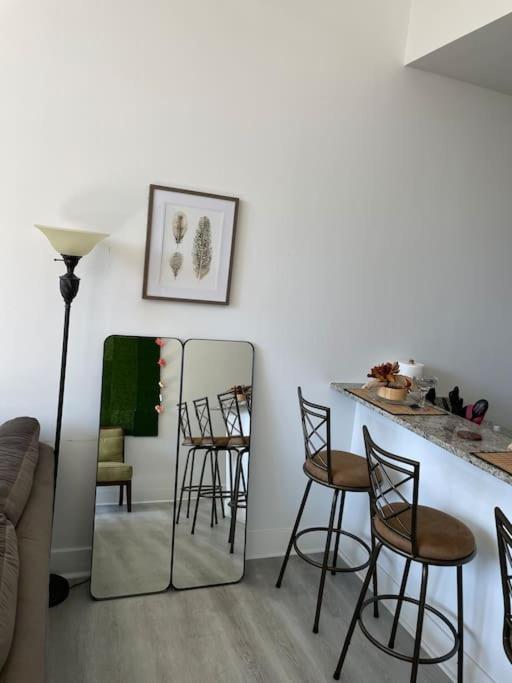 Cozy, High Rise, Large Studio Facing Downtown . Baltimore Exterior foto